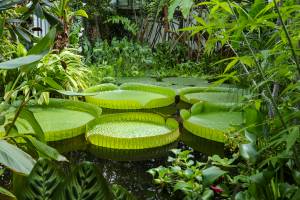 Julien SESIA - Julien-Sésia-Photographie©